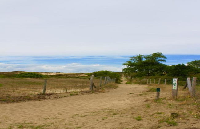 Oostduinkerke Forestside Villa - Foto 34