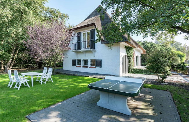 Oostduinkerke Forestside Villa - Foto 29