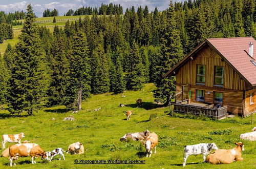 Photo 17 - Mountain hut With Sauna on Weinebene