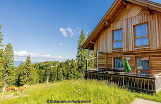 Foto 1 - Mountain hut With Sauna on Weinebene