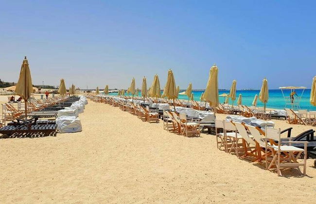 Marassi 1 bedroom with garden in marina - Photo 50