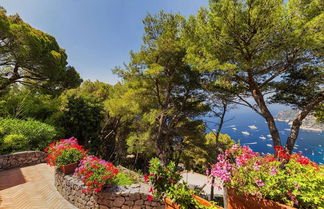 Photo 3 - Villa Polifemo in Capri