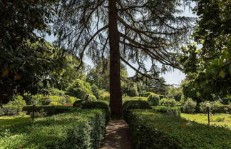 Photo 2 - Casa Beatrice in Lucca