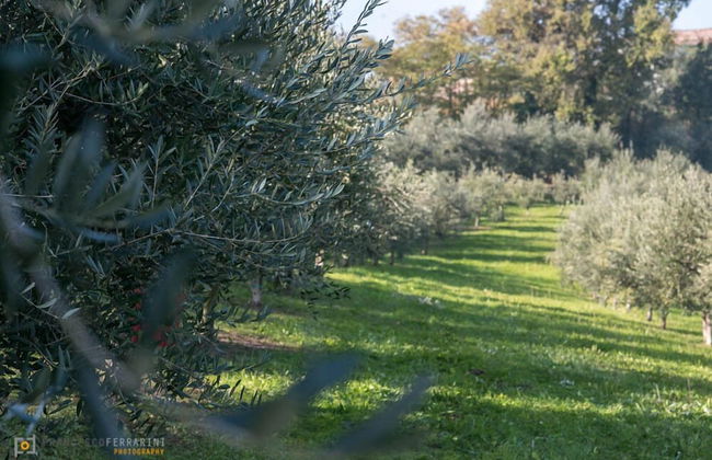 Agriturismo Acetaia Sereni - Foto 16
