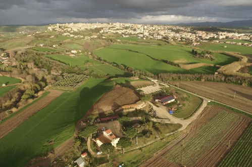 Photo 9 - Agriturismo Il Poderino