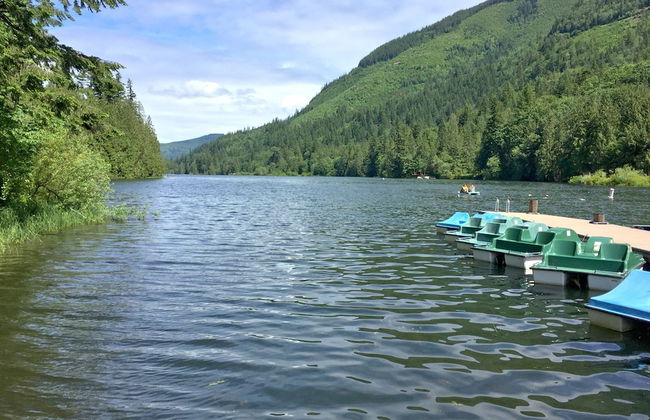 97MF - Lakeside - Dock - BBQ - Pets Ok - Sleeps 6 - Foto 26