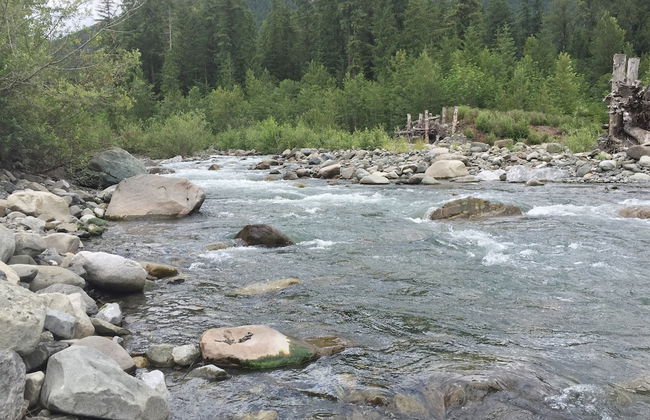 12GS - BBQ - WiFi - Dishwasher - Sleeps 4 - Foto 15