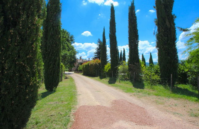 Elysian Escape - A Paradise - Foto 38