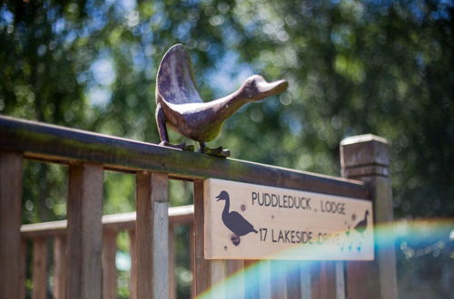 Photo 25 - Puddleduck Lodge With Hot Tub, on Felmoor Park