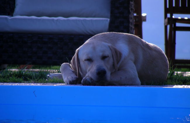 Villa Podere Quartarola - Foto 58