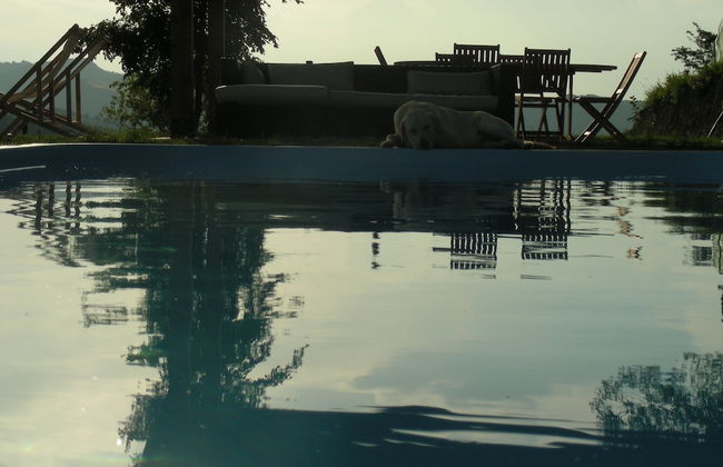 Villa Podere Quartarola - Foto 52