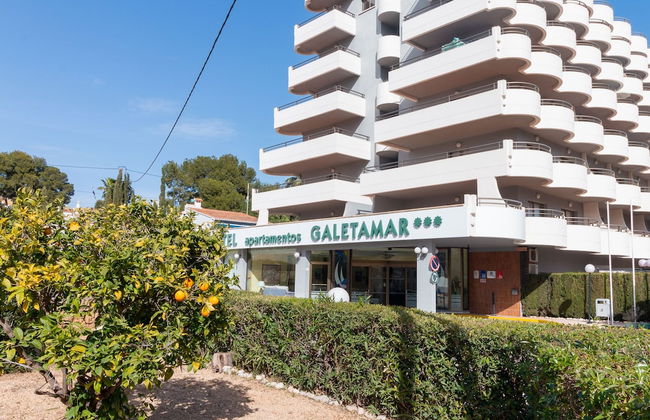Aparthotel Terraces Galetamar - Foto 55