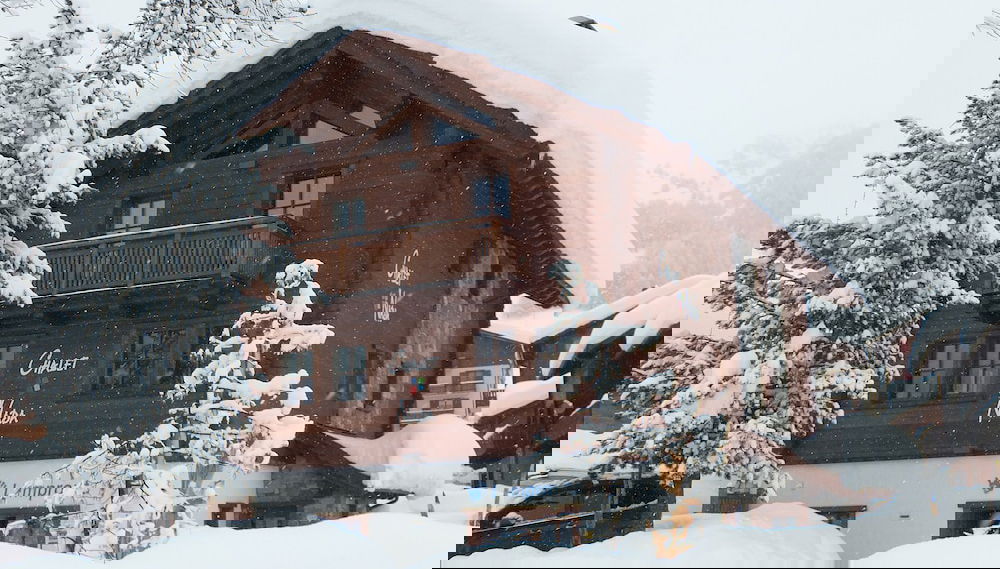 Image principale