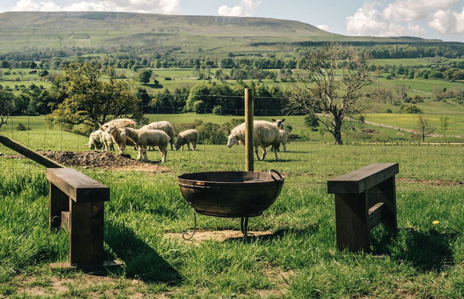 Wensleydale Glamping Pods - Foto 24