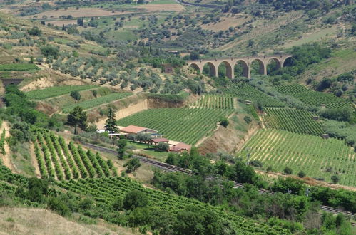 Photo 37 - Antica Tenuta Del Nanfro