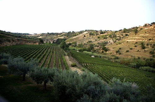 Photo 38 - Antica Tenuta Del Nanfro