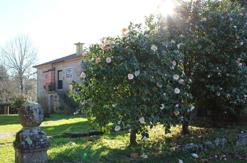 Foto 19 - Excellent Cottage in Santa Comba With Communal Swimming Pool