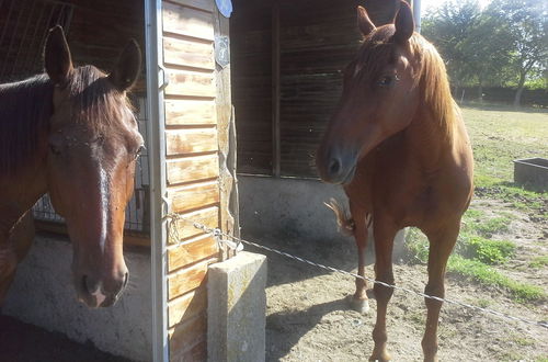 Photo 37 - Roulotte et Gîte chambres d'hôtes