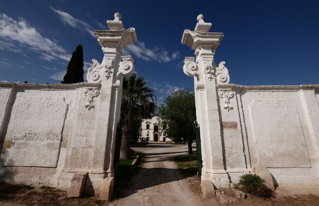 Masseria Maccarone - Foto 36