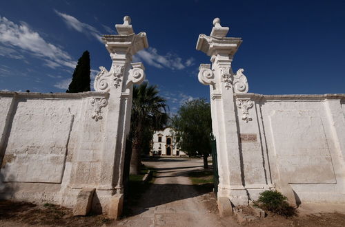 Photo 35 - Masseria Maccarone