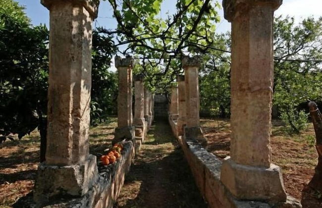 Masseria Maccarone - Foto 30