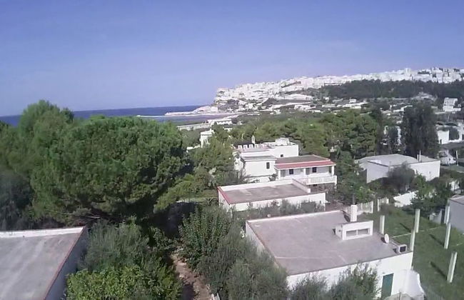 Peschici Mare - Photo 35
