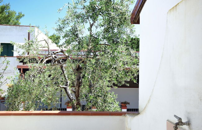 Peschici Mare - Photo 23
