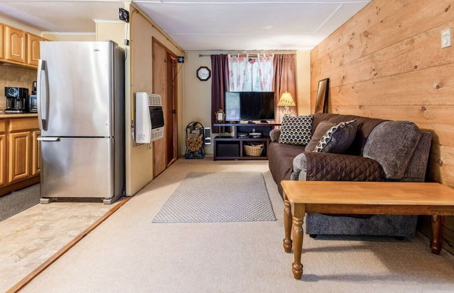 Pocono private retreat - Foto 8