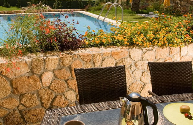 Beautiful Villa With Swimming Pool - Photo 28