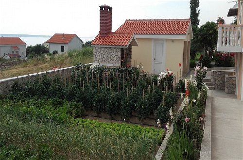 Foto 31 - Adriatic - With Beautiful Garden - A3