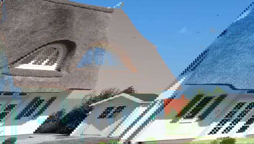 Imagem principal