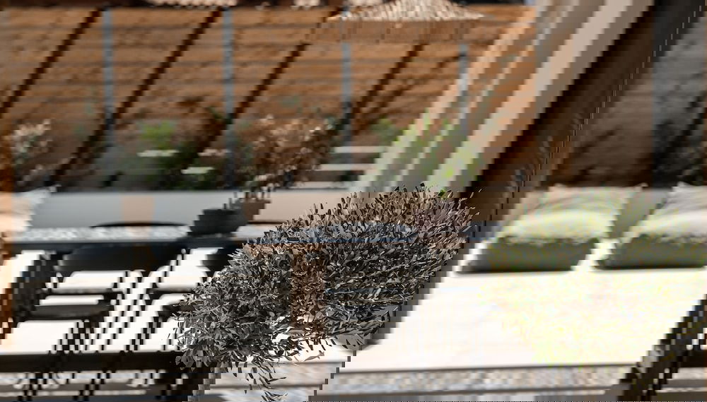 Imagem principal