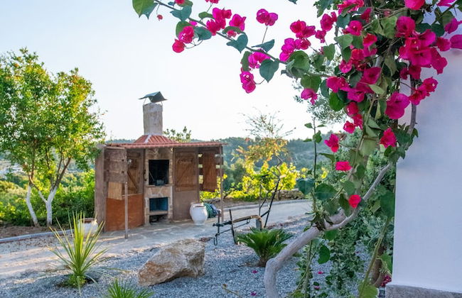 To Stolidi tis Psinthou - Photo 19