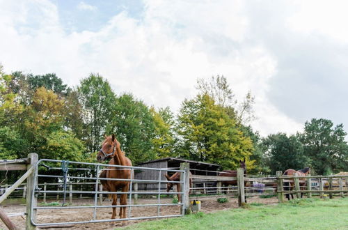 Photo 28 - Holiday Home on a Riding Stable in Luneburg Heath