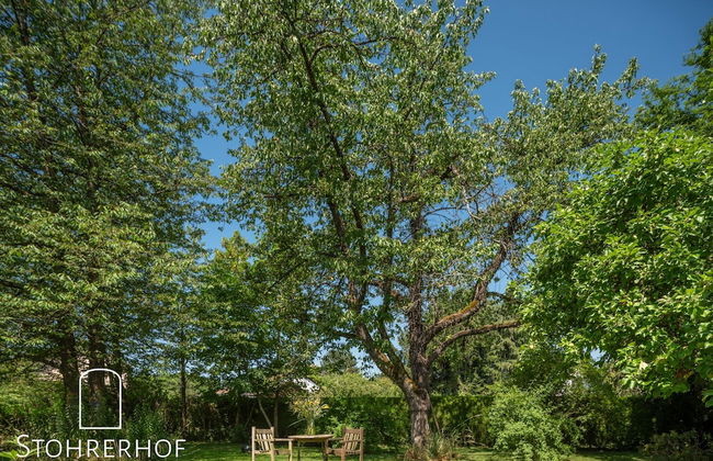 Gut Stohrerhof - Foto 28