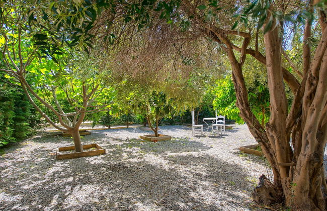 Villa Ixia - Photo 16