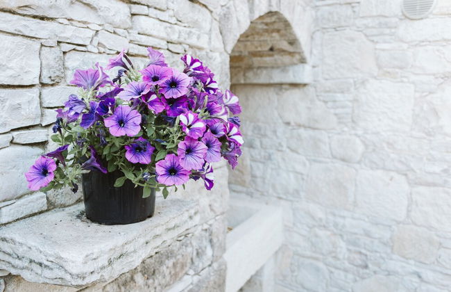 Ariadni Studio Cottage - Foto 12