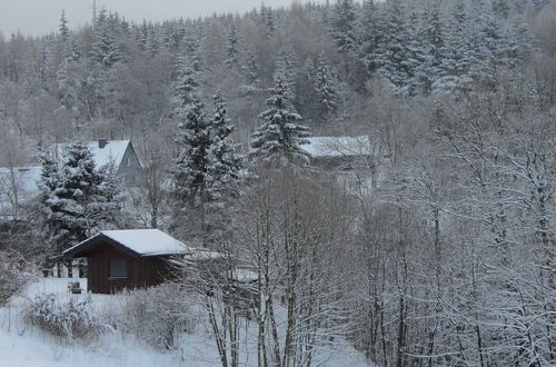 Photo 28 - Chic Holiday Home in Medebach Germany near Ski Area