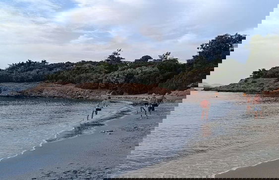 3 Olive Trees - Foto 67