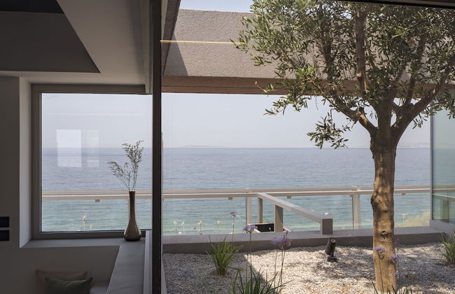 3 Olive Trees - Foto 72