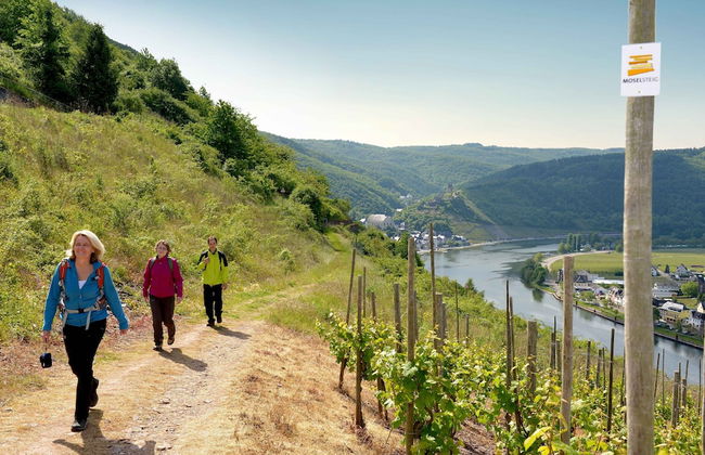 Ferienwohnung zur Burg Eltz - Foto 14