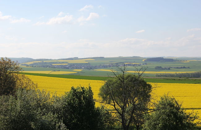 Ferienwohnung zur Burg Eltz - Foto 19