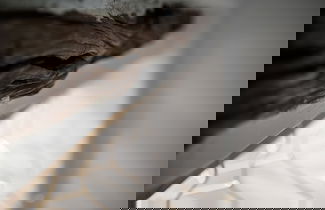 Photo 15 - Archetypo