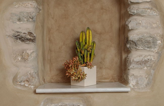 Archetypo - Foto 43