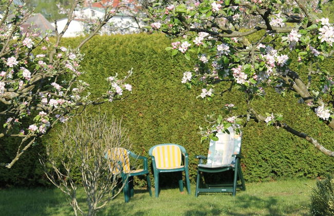 Wohnung mit Grossem Garten an der Ostseekuste - Foto 12