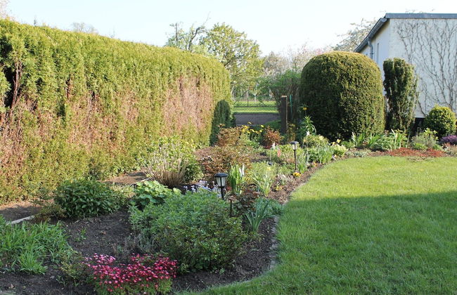 Wohnung mit Grossem Garten an der Ostseekuste - Foto 17