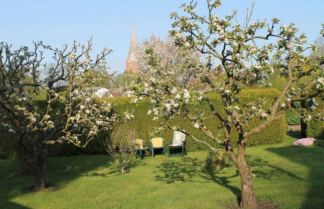 Wohnung mit Grossem Garten an der Ostseekuste - Foto 19