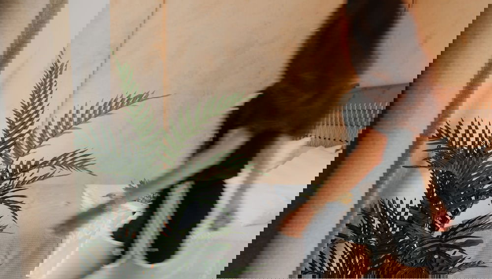 Image principale