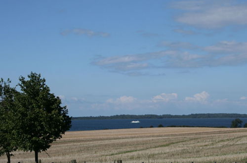 Photo 20 - Modern Bungalow in Tessmannsdorf on Coastal Forest