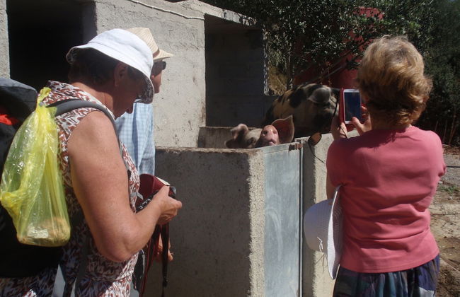 Keramos - Foto 34